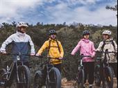 established e-bike sales service