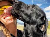 highly profitable pet boarding