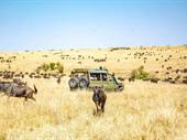 online african travel agency