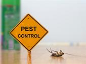 very small pest control