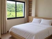 renovated 13-room hotel patong