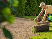 established commercial landscaping grounds
