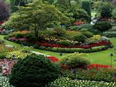 commercial landscaping snow removal
