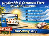 profitable 100 dropshipping online