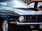 established 3-location automotive paint