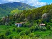 wilderness ranch with private