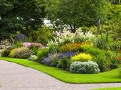 high-cash-flow asset-light landscaping business