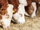 established feed farm ranch