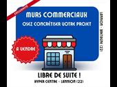 versatile commercial property the