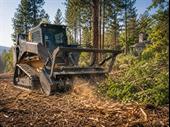 tree service wildfire mitigation