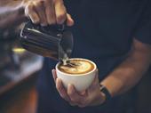 cafe takeaway franchise urgent