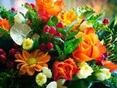 established flower shop