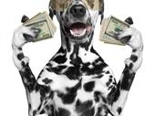 award-winning pet grooming business