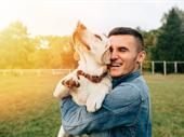 online pet product wholesaler